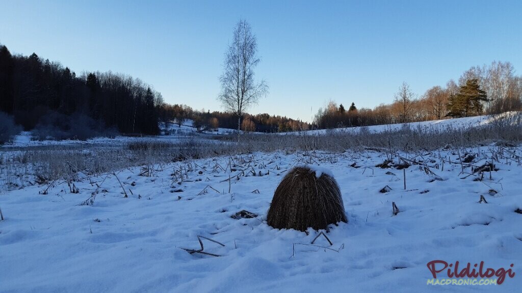 Eestimaa ilus loodus